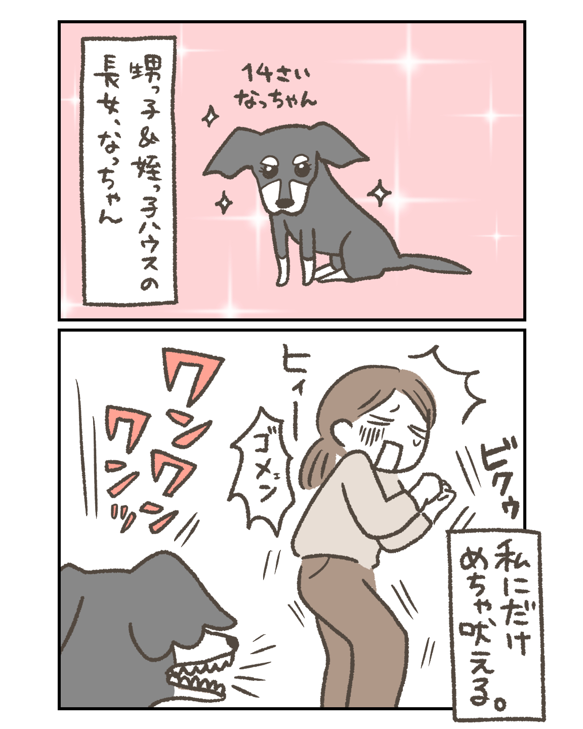 いとこのお家のわんちゃんの話